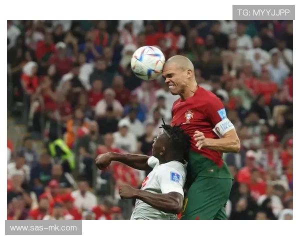 葡萄牙后卫佩佩训练中韧带撕裂，世界杯出征成疑